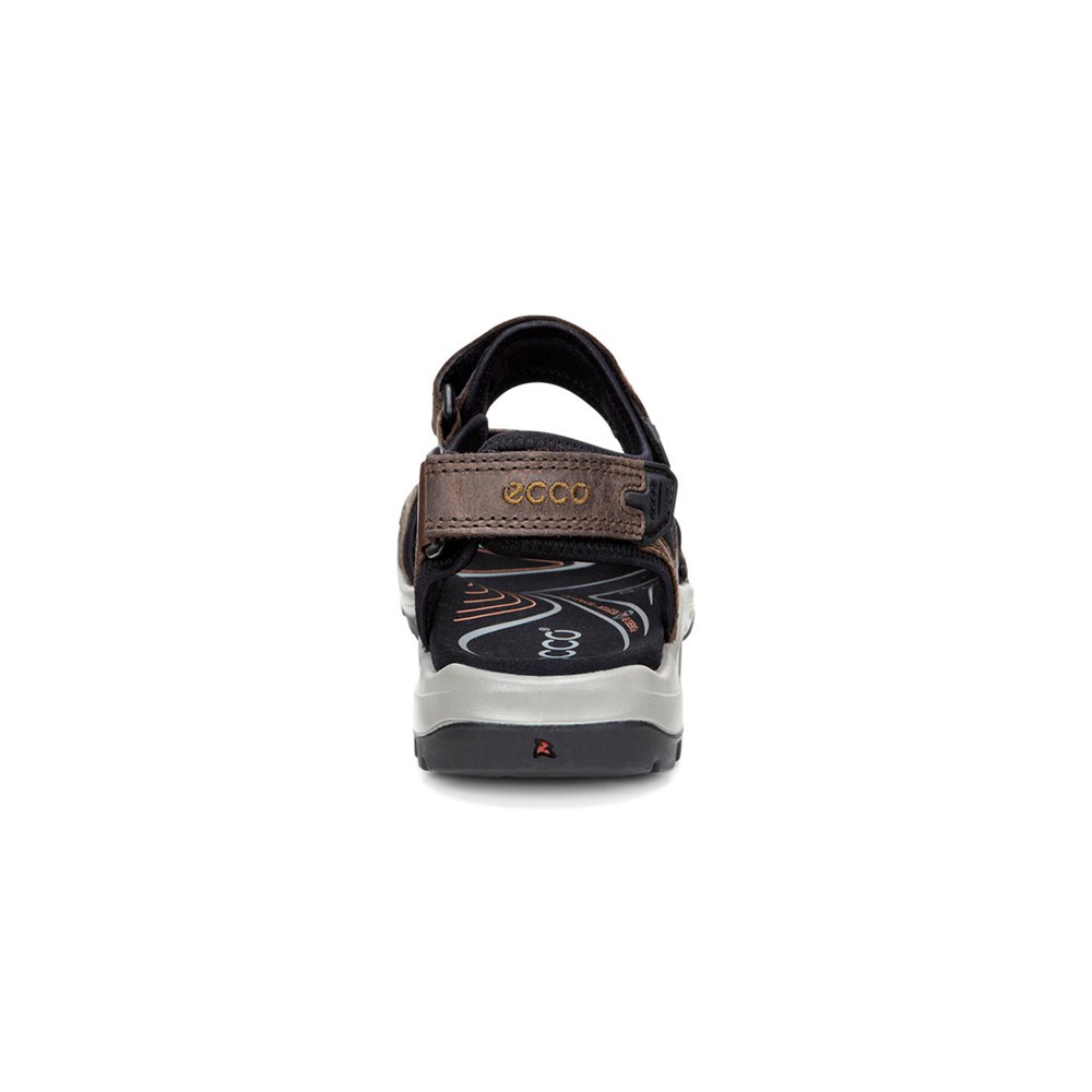 ECCO Mens Sandals Brown/Black - Yucatan - YMA-269071